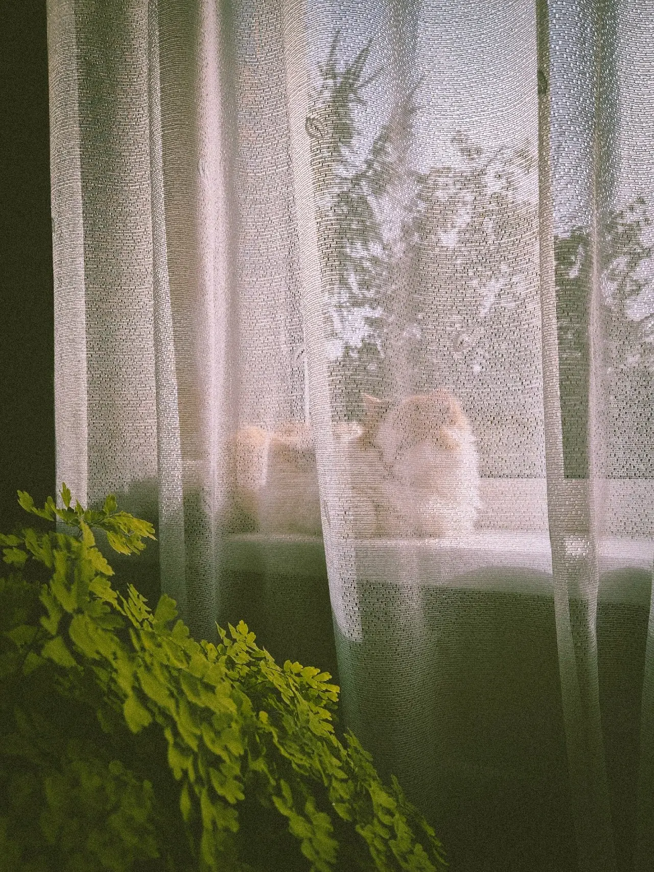 День в деревне