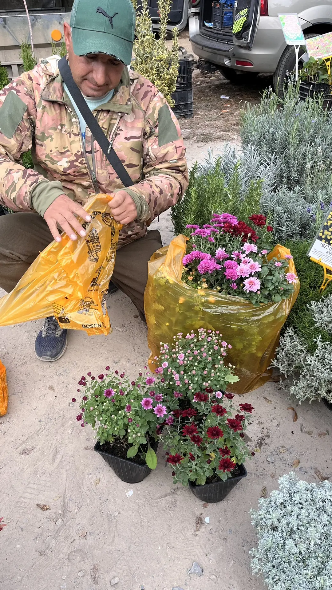 Добрый день, друзья! Сегодня с утра в городе, ездила пломбировать зуб. Наконец-то мне е...