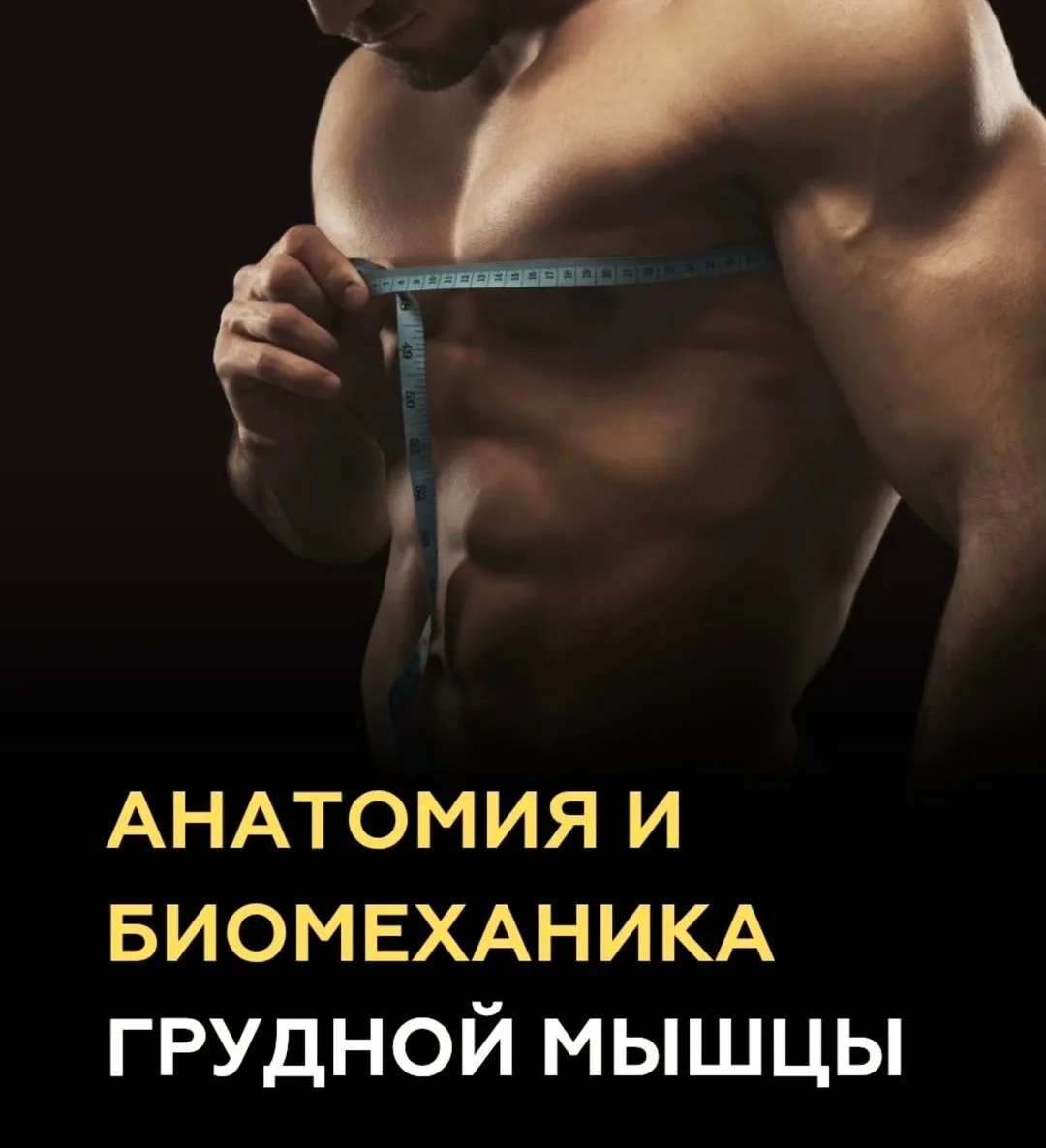 АНАТОМИЯ И БИОМЕХАНИКА ГРУДНЫХ: ПОЧЕМУ НЕ РАСТУТ