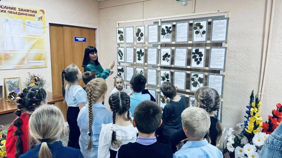 🍂 «Дары Осени»: итоги большого конкурса-выставки!