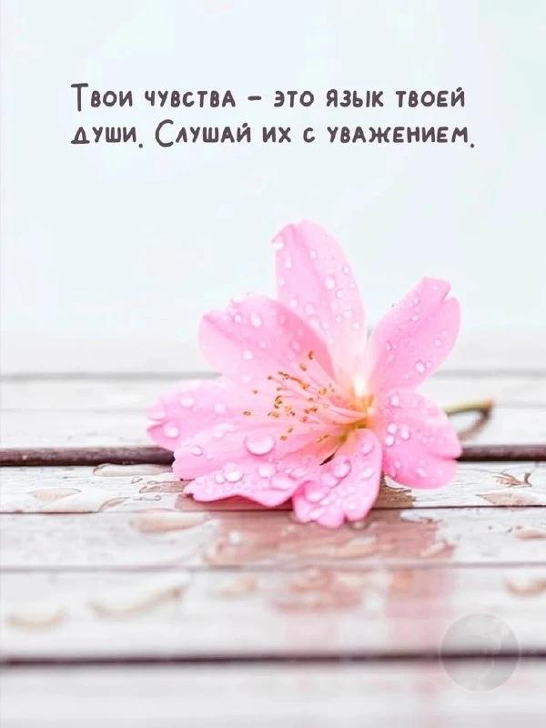 Открытки: подписаться ❤️
