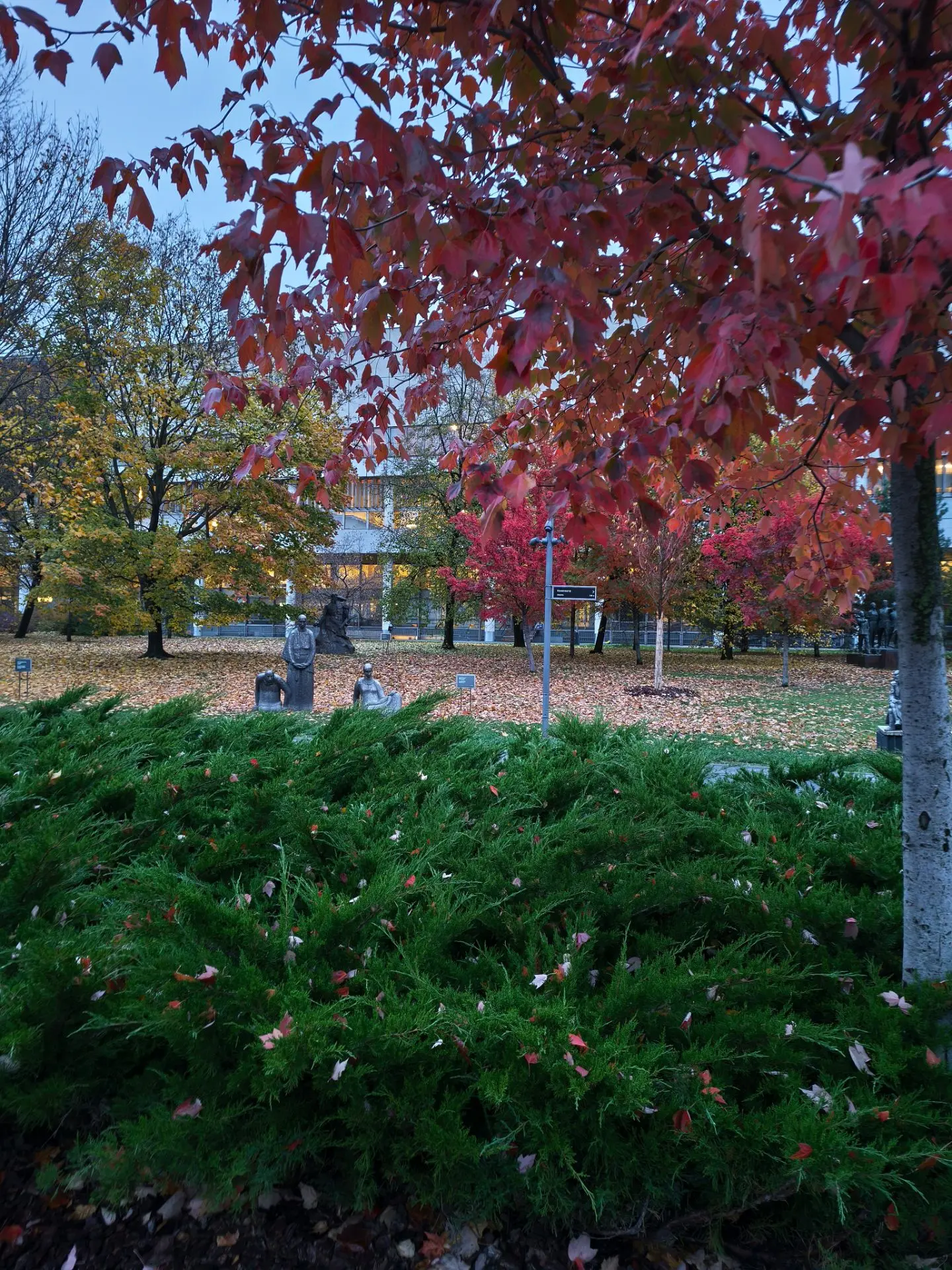 Просто красиво🍂