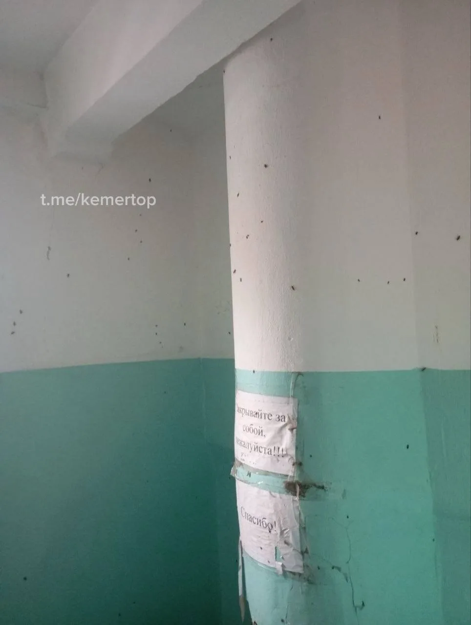 ⚠️ Жильцы дома на Ленинградском, 51 пожаловались на тараканов с первого по седьмой этаж