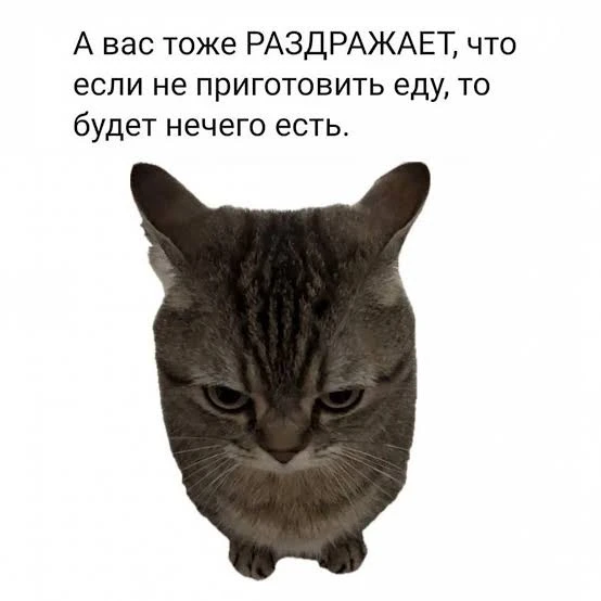 😂