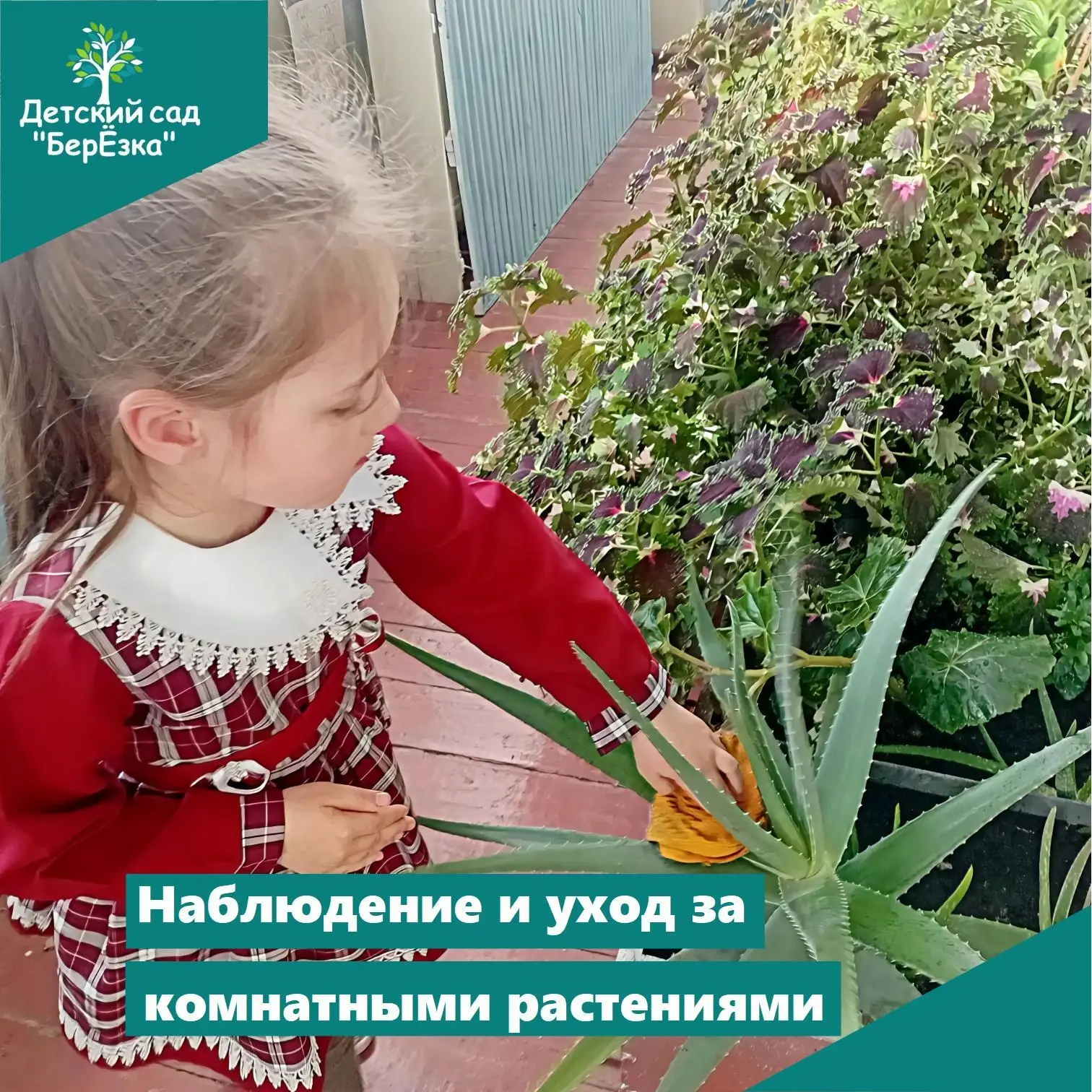 🌱Уход за растениями — это важная часть процесса, и участие детей в этом делает его еще...