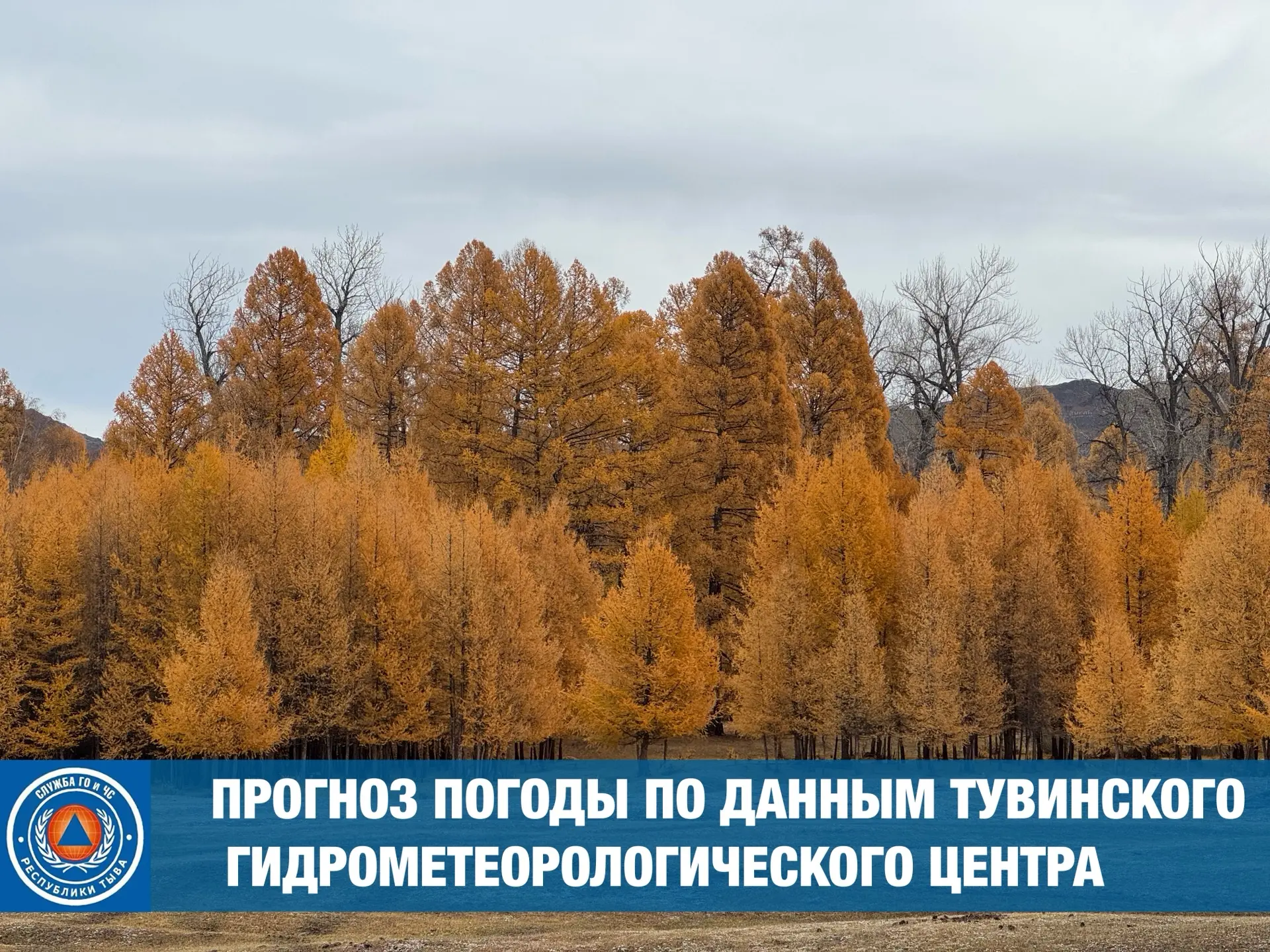 Прогноз погоды на 16 октября 🌨️