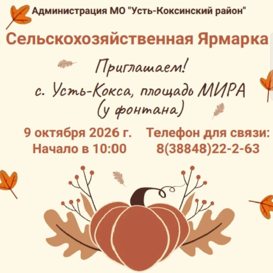 Ярмарка проходит прямо сейчас в здании Дома творчества и досуга (ул. Харитошкина, 7) в ...
