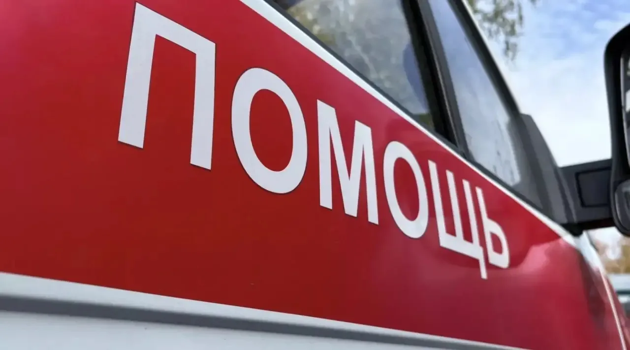 ❗️Медведь напал на 15-летнего подростка в Алтайском крае