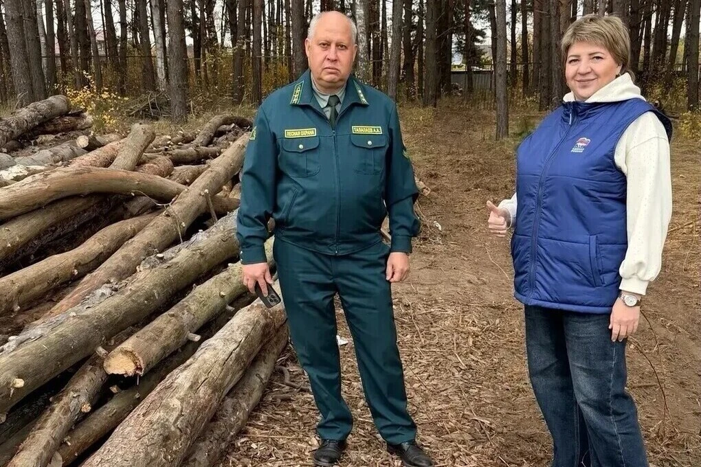 В Серпухове проинспектировали ход санитарных рубок в лесах близ деревни Дракино