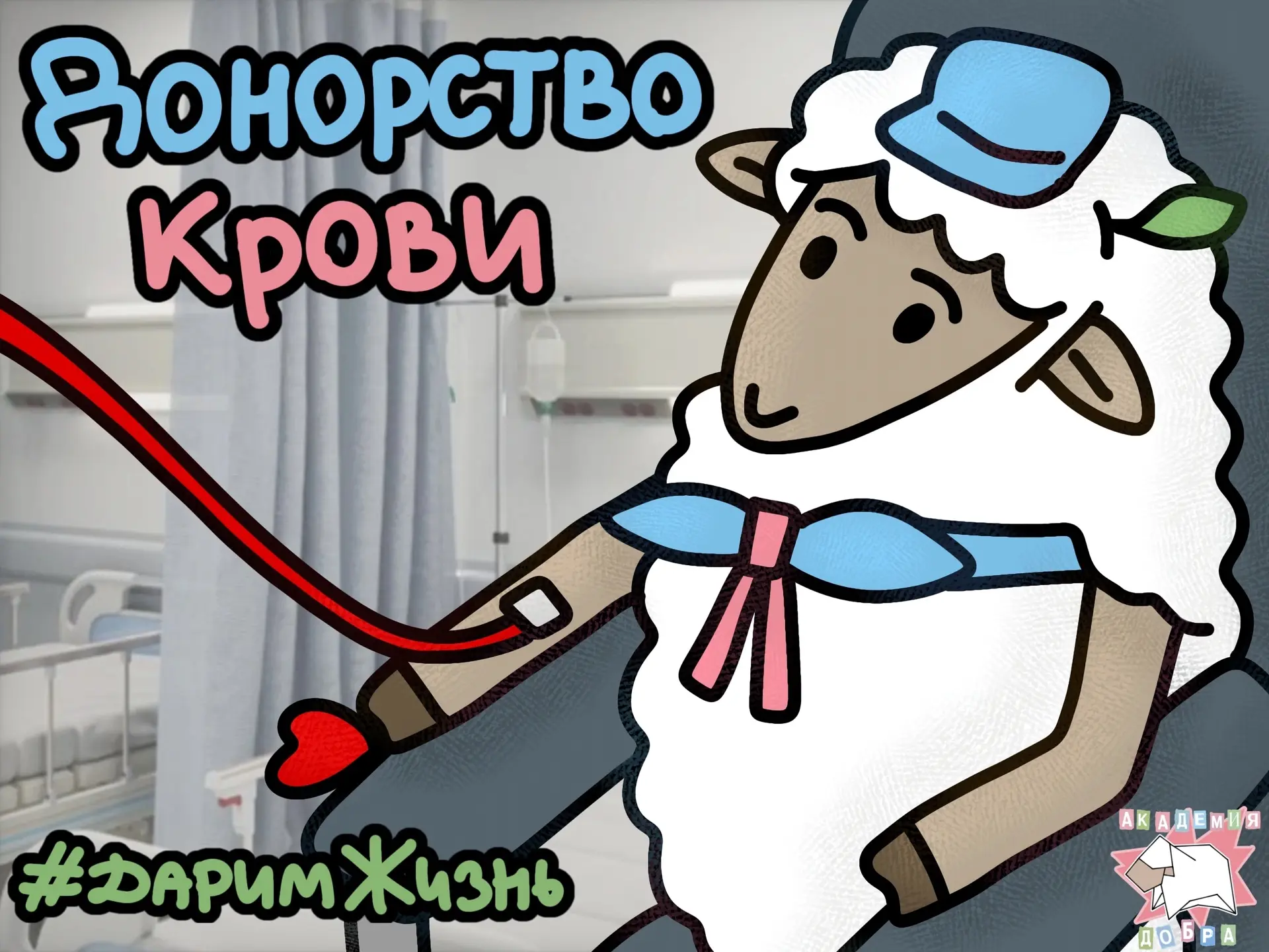 🩸 #МЫВМЕСТЕ | Дарим жизнь – акция стартует сегодня!
