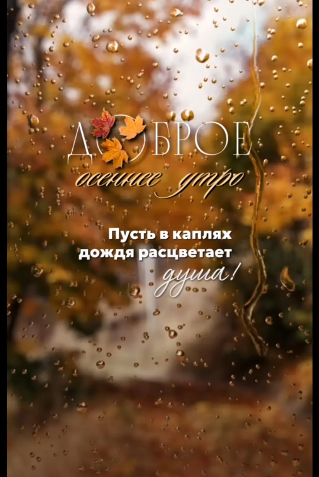 Доброе утро, дорогие подписчики! 🌅