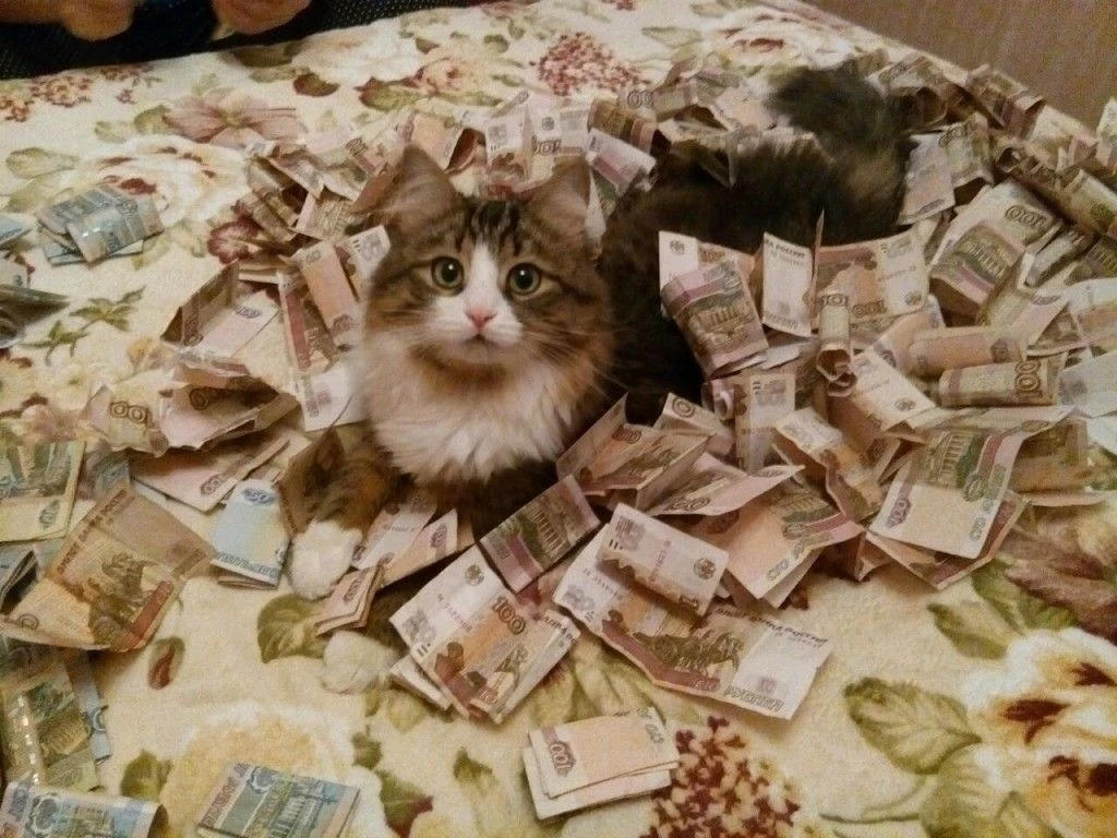 💰 В Екатеринбурге средняя зарплата превысила 108 тысяч рублей.