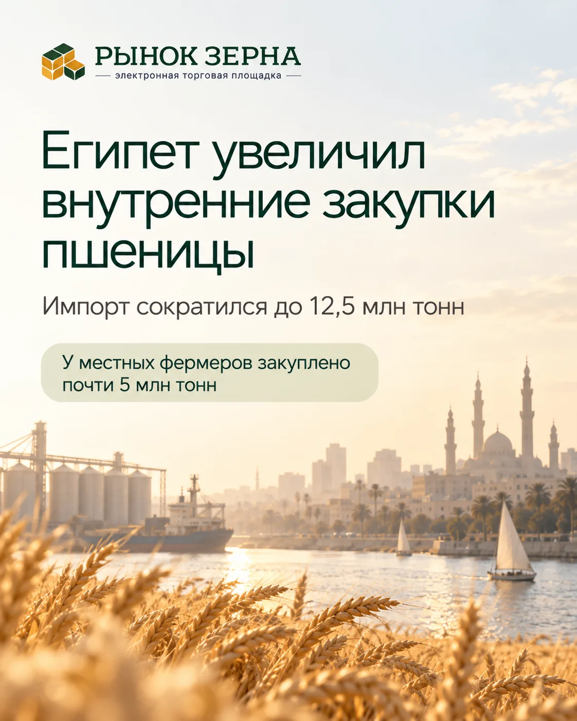 🇪🇬 Египет увеличил внутренние закупки пшеницы и сократил импорт