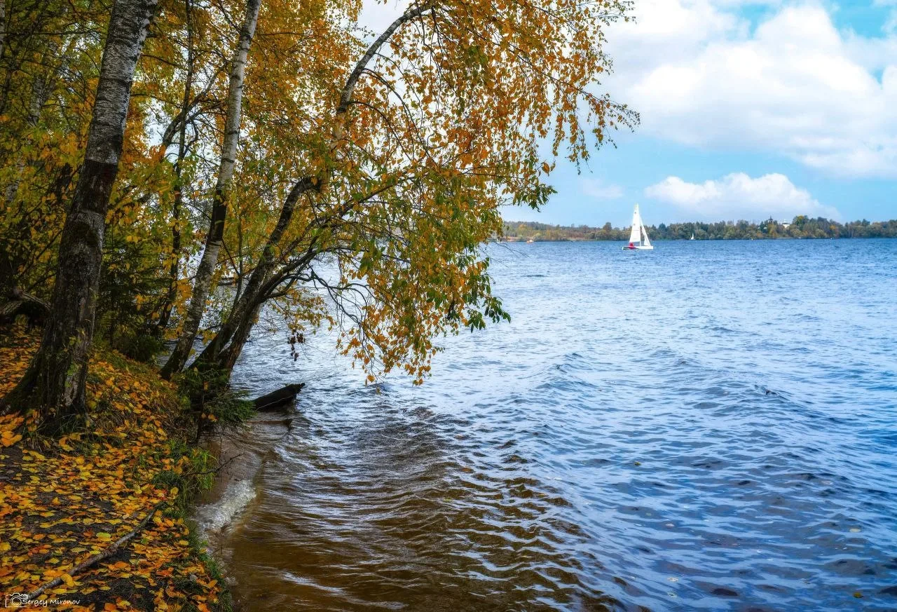 Клязьминское водохранилище осенью 🍁