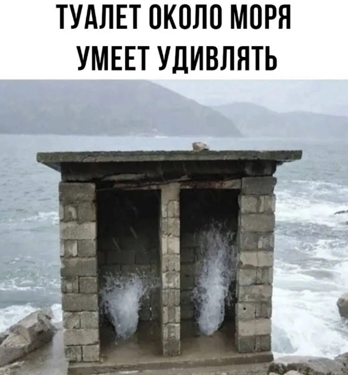КуЗьМа в ТеМе