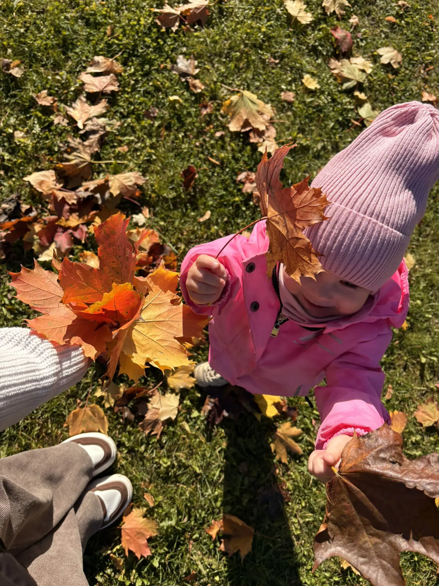 🍂🍁Наша осень🍁🍂