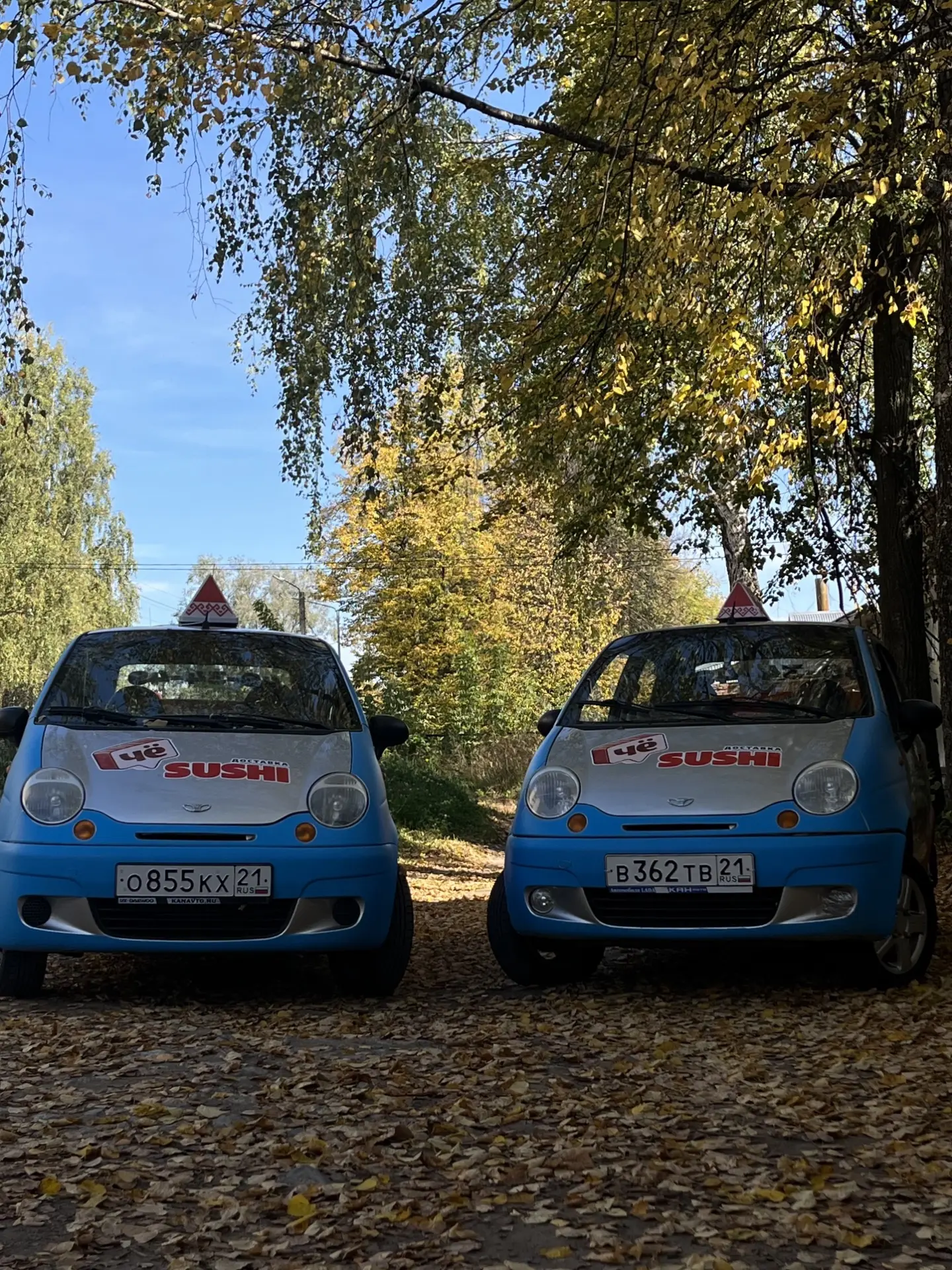 Теперь нас в два раза больше 🚙🍣