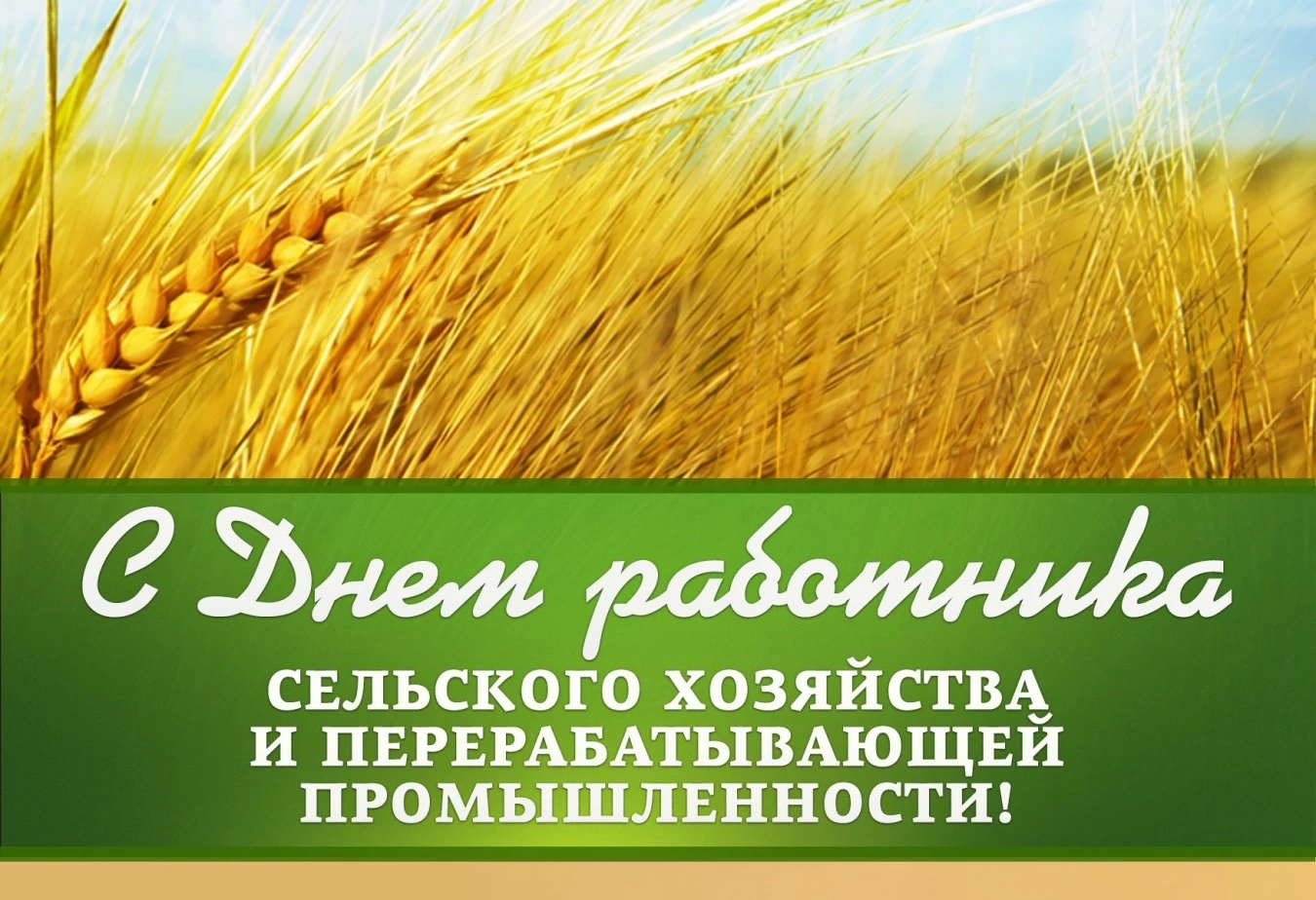 Уважаемые работники и ветераны агропромышленного комплекса Раздольненского района!