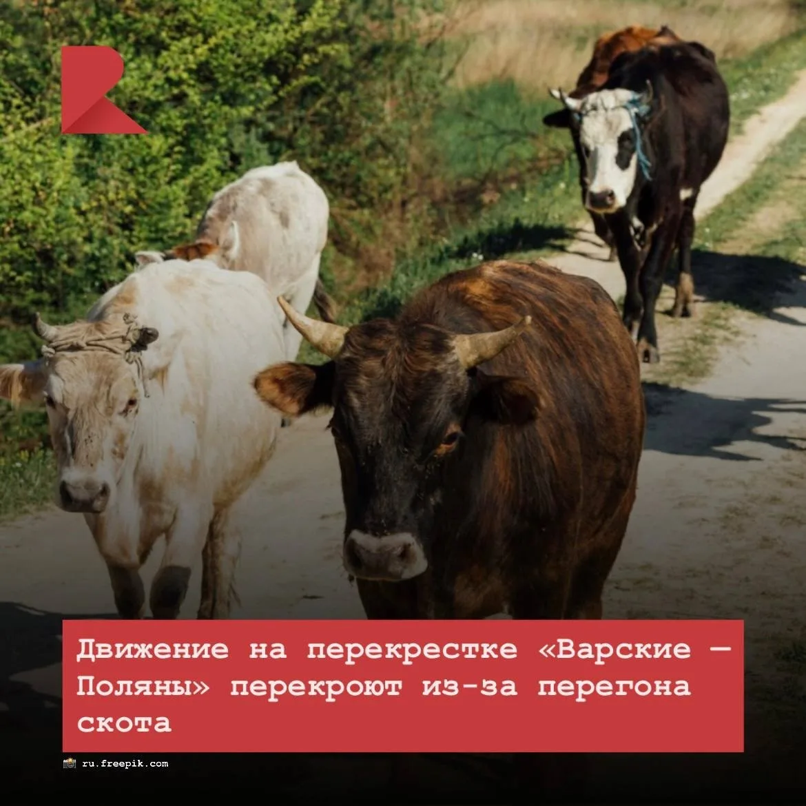 ❗️ Движение на перекрестке «Варские — Поляны» перекроют завтра с 10:00 до 11:00 из-за п...