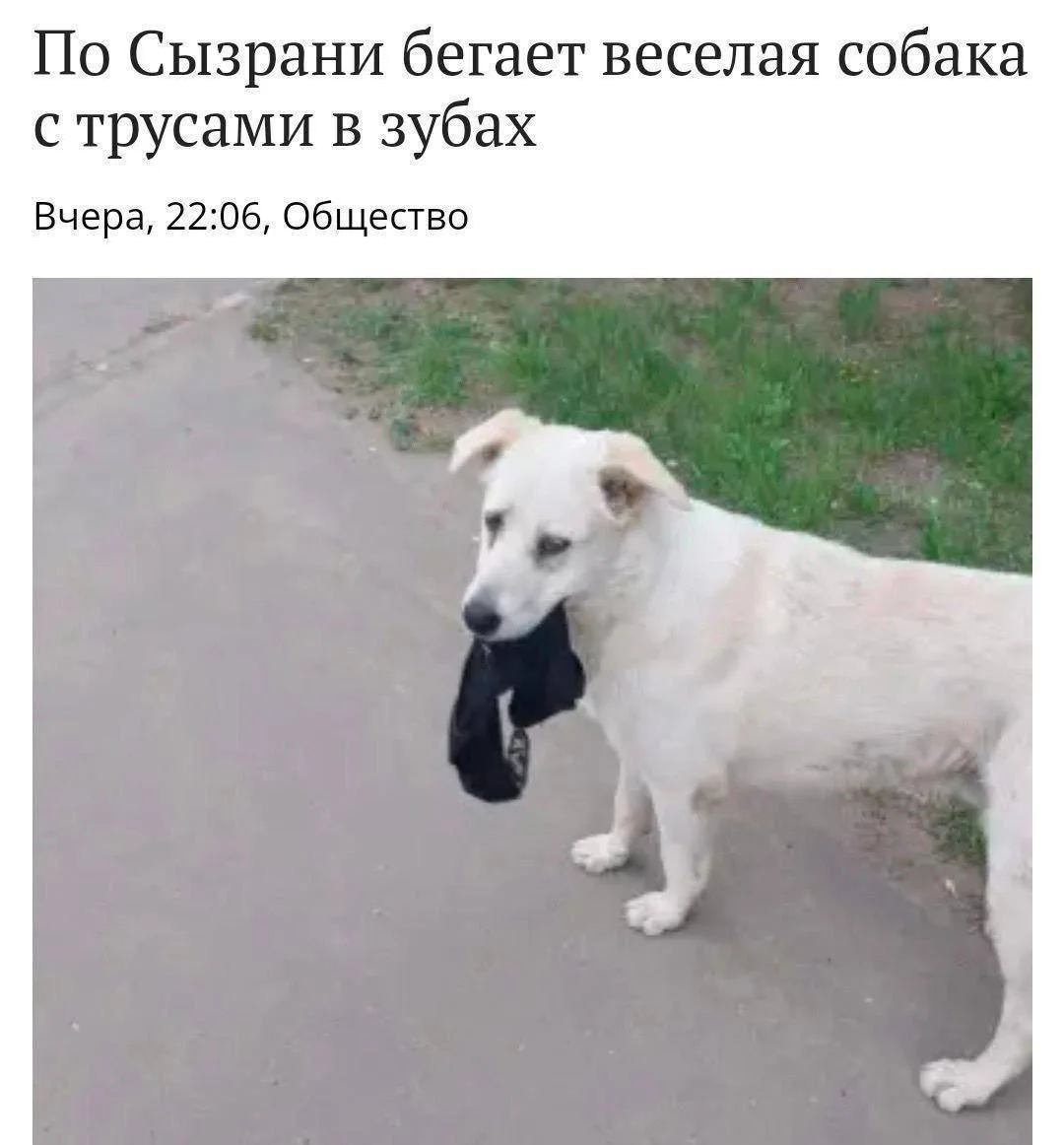 Стараемся не завидовать его счастью
