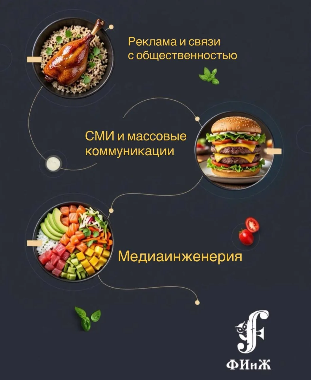 Если бы направления обучения были блюдами…