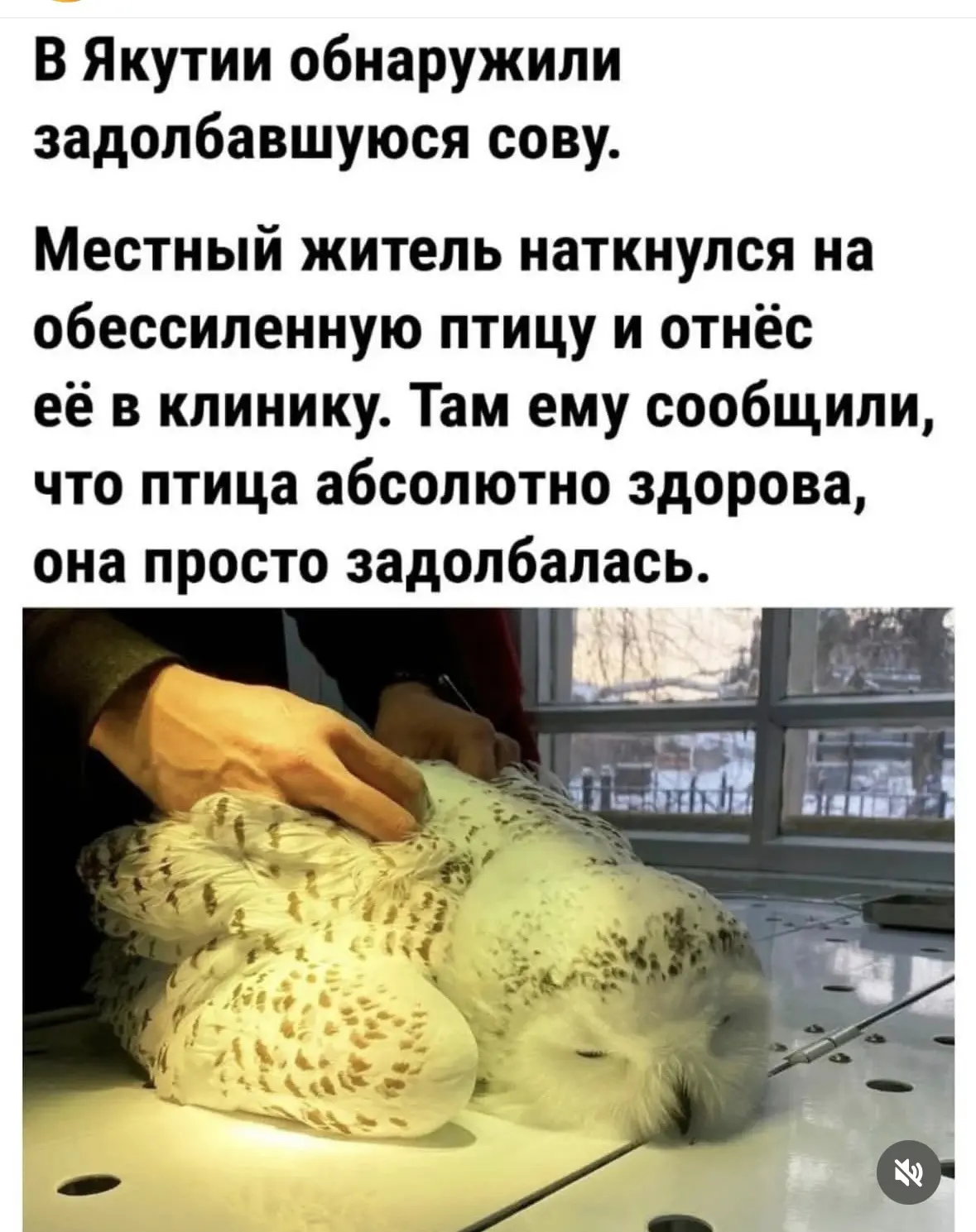 Скоро наше время 😁