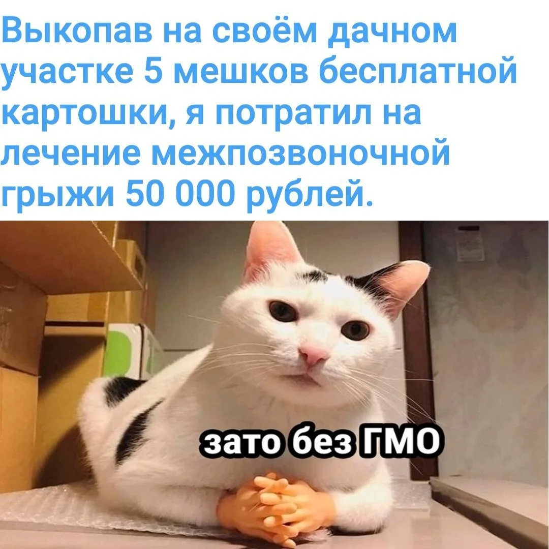 Приемлемо😁