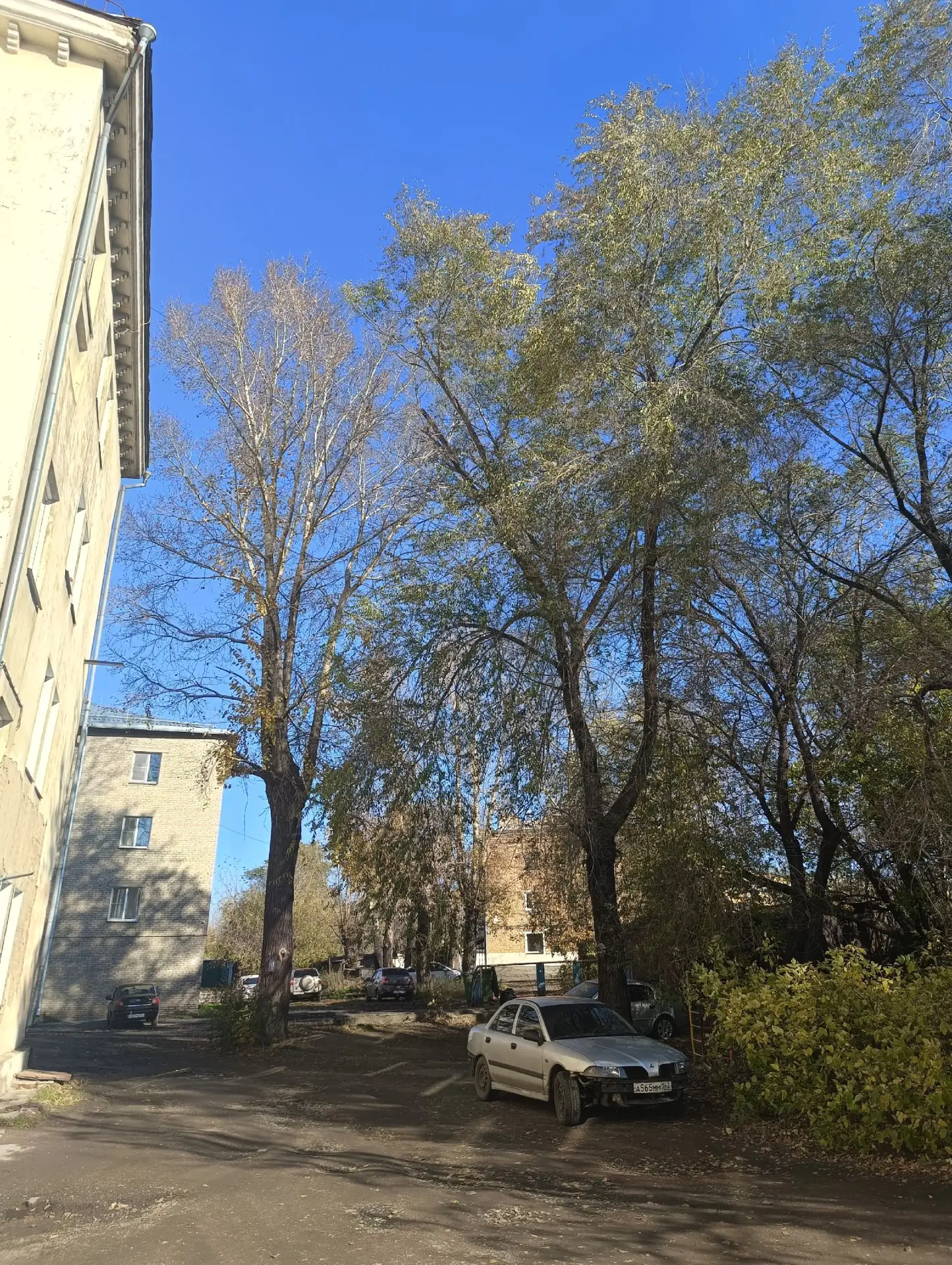 Доброе утро)