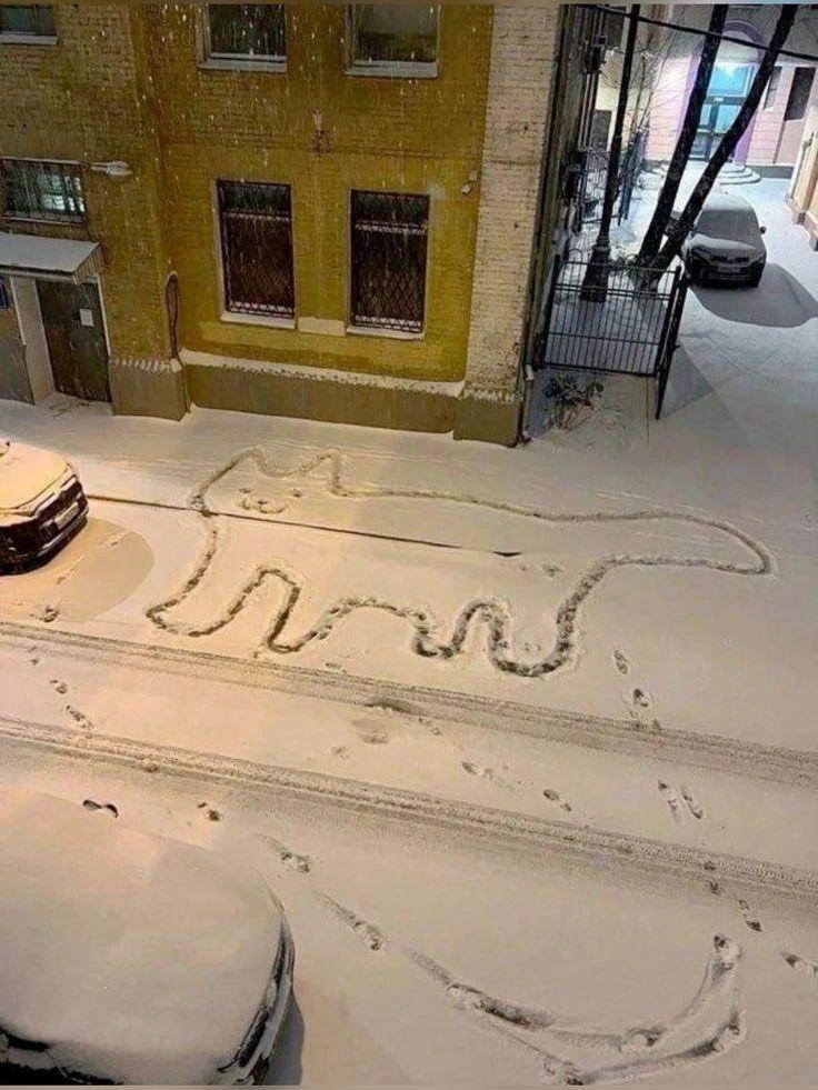 Первый снег выпадет уже к началу ноября