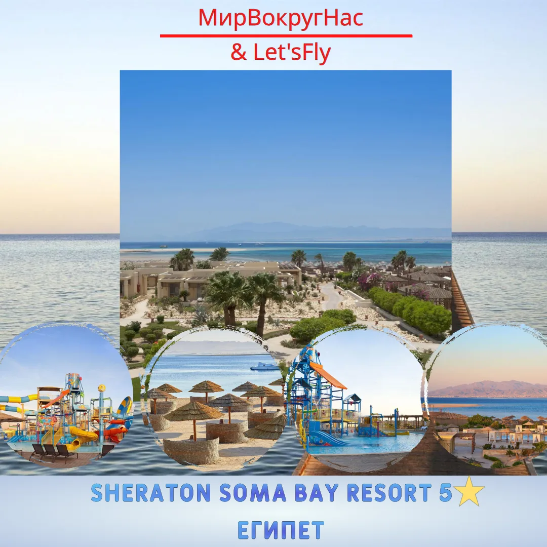 🌞 Зимнее лето в Египте: Sheraton Soma Bay Resort 5⭐️