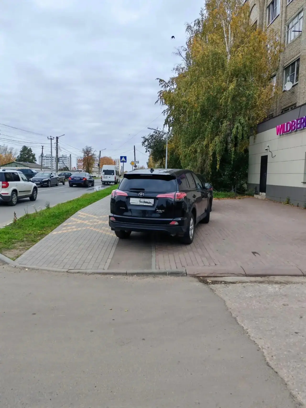 🚫 Стоп автохамству!
