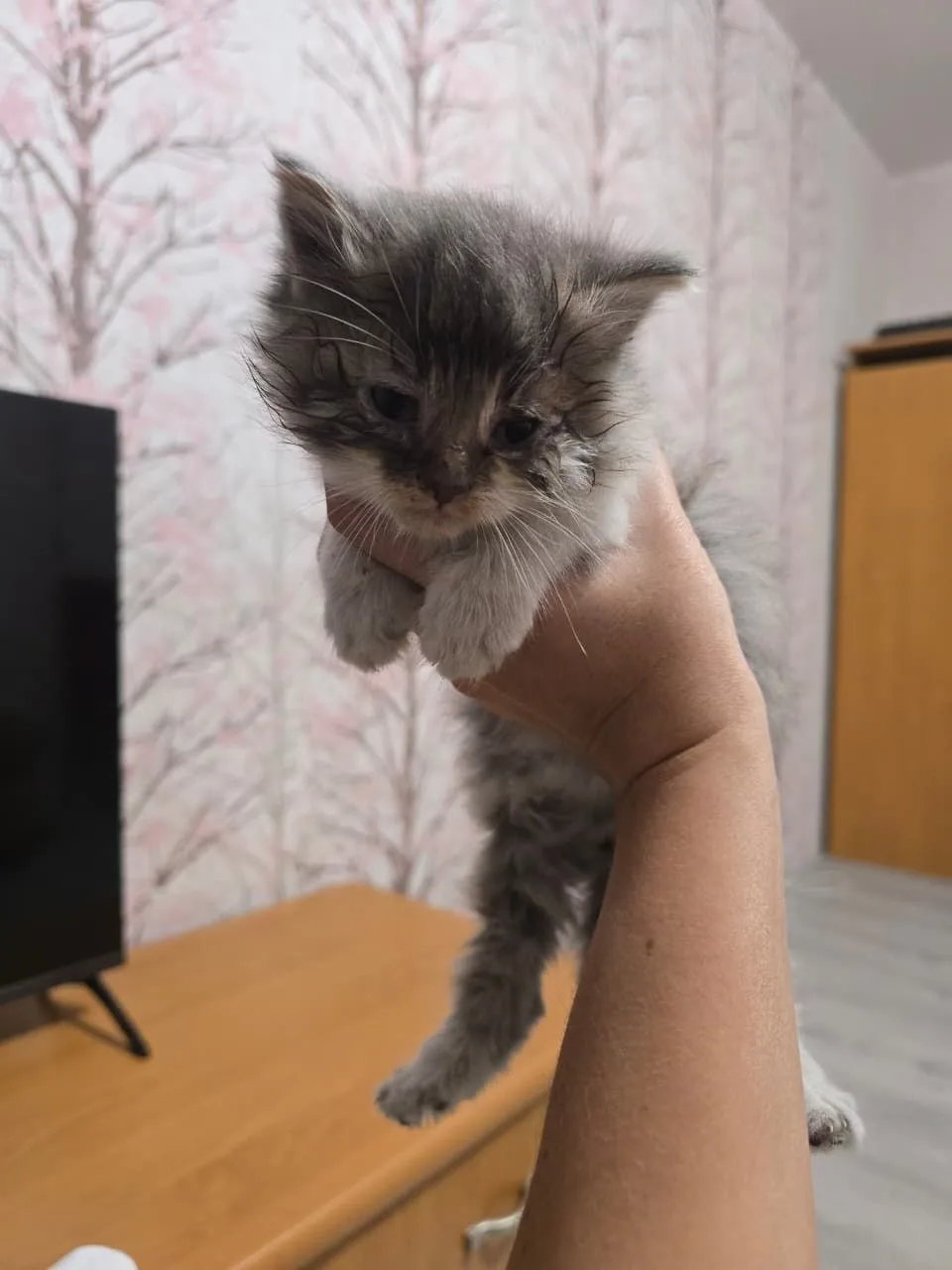 Г. Уссурийск