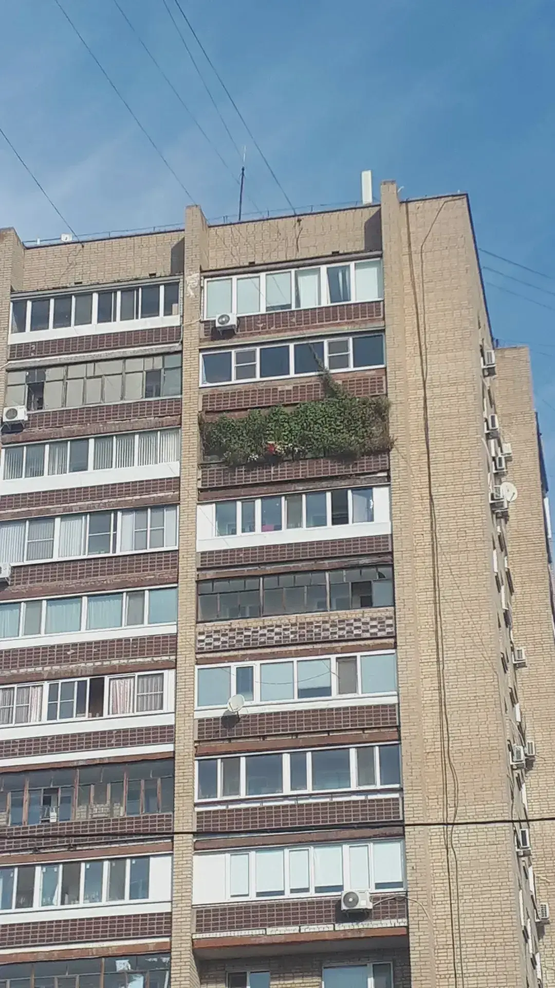 Когда для цветов мало места