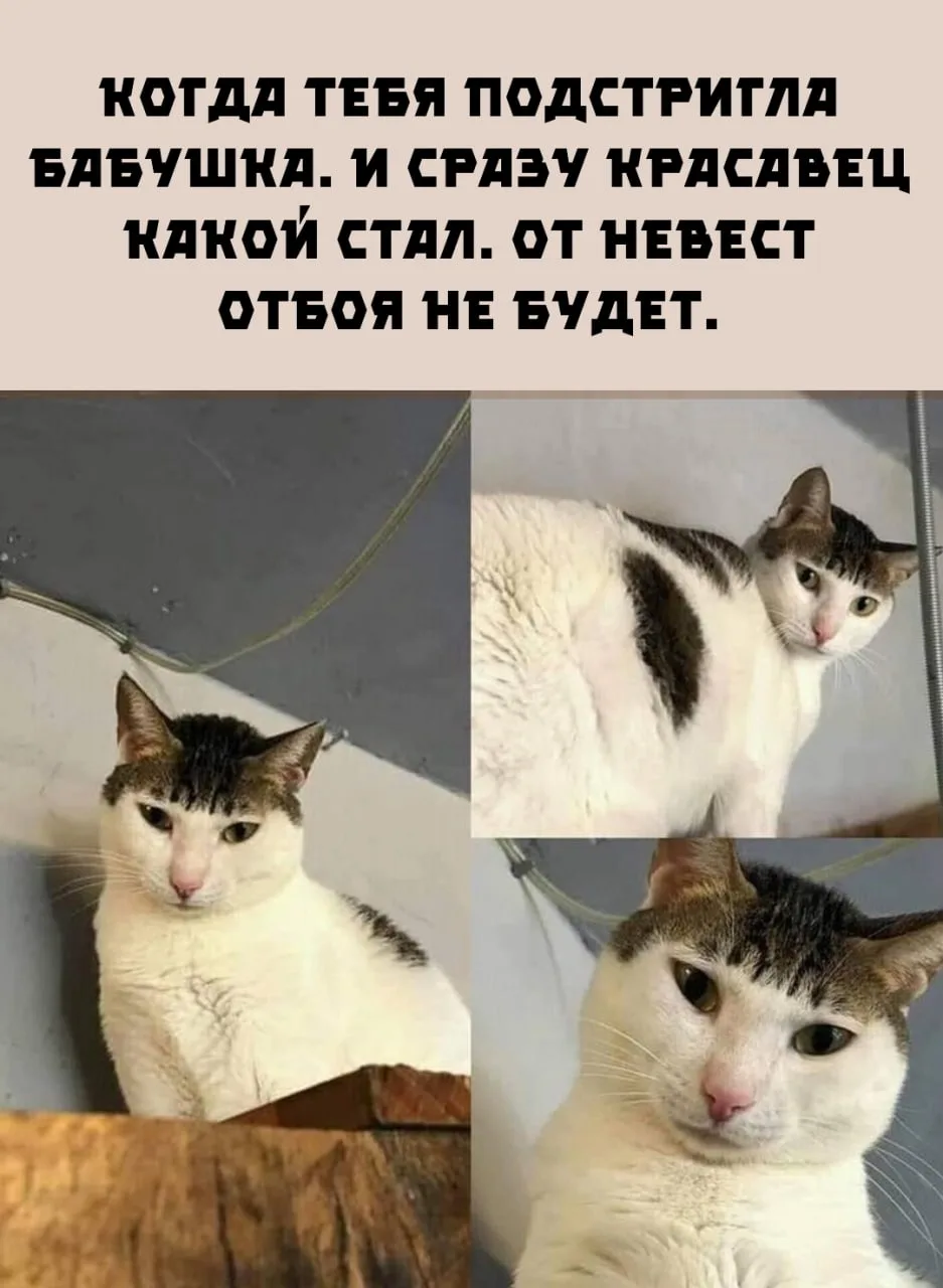 😂😂😂