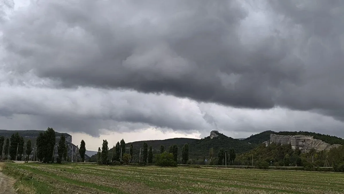 Новости Крыма - главное на утро 15 октября