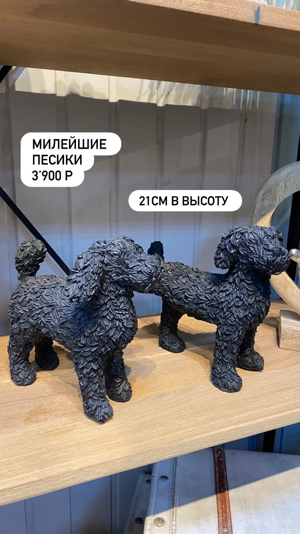 Цветочный 🐶