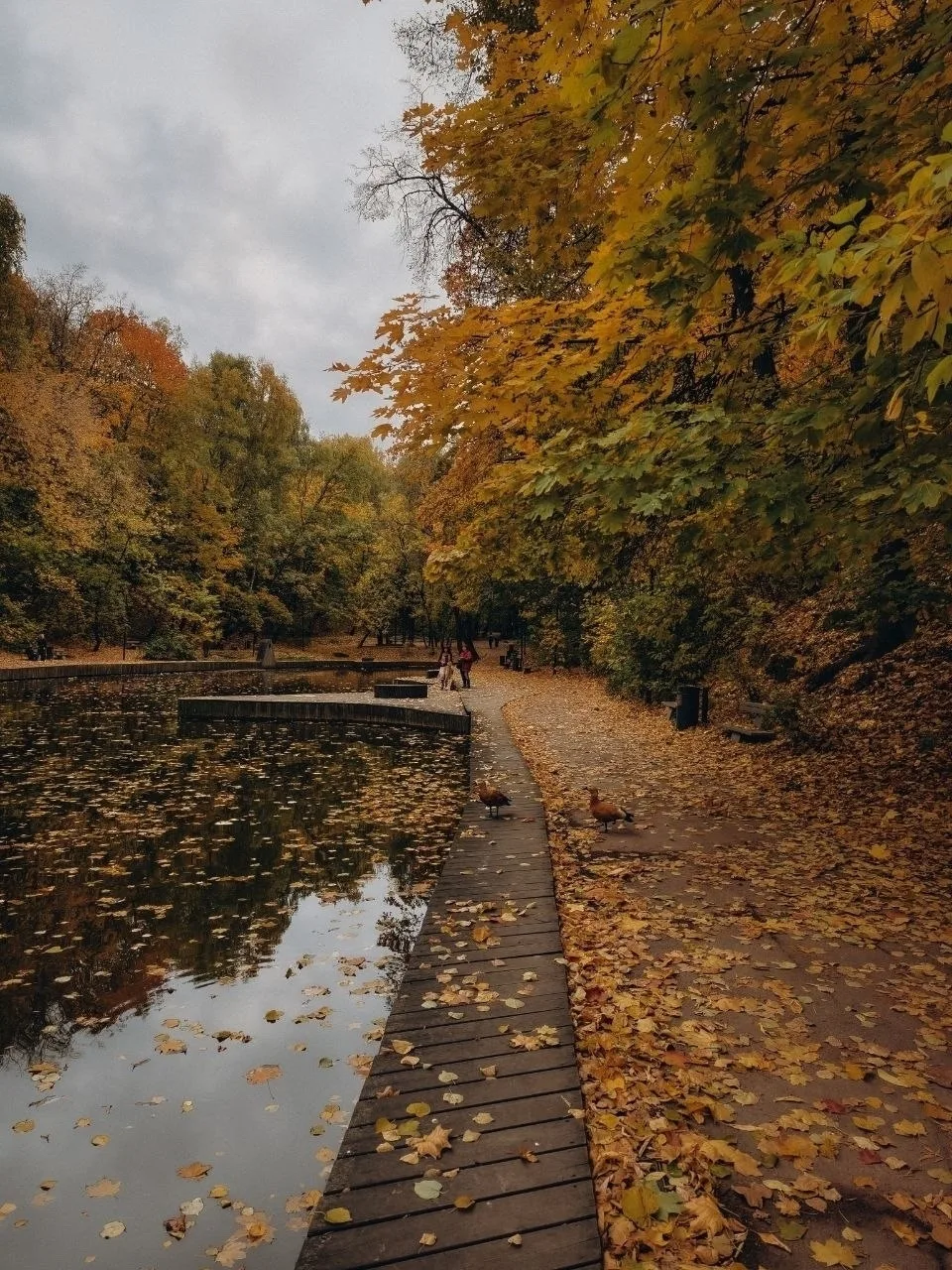 Осенний выход в Нескучный сад.