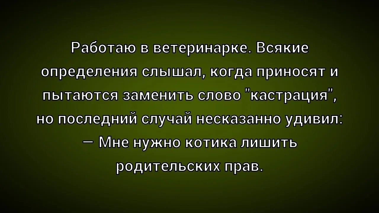 ☺☺☺