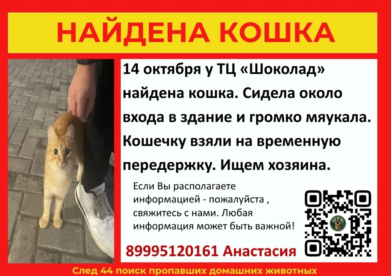 https://max.ru/channel_dtpkostroma