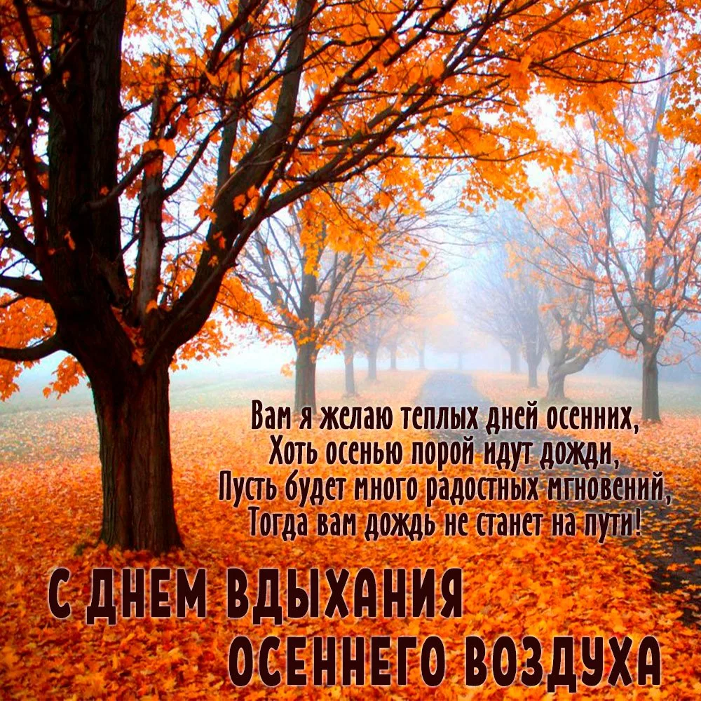 С Днём вдыхания осеннего воздуха! 🍁