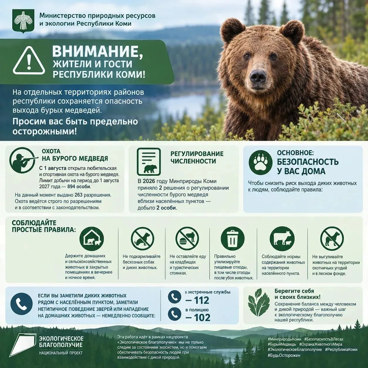В некоторых районах Коми сохраняется опасность выхода бурых медведей 🐻