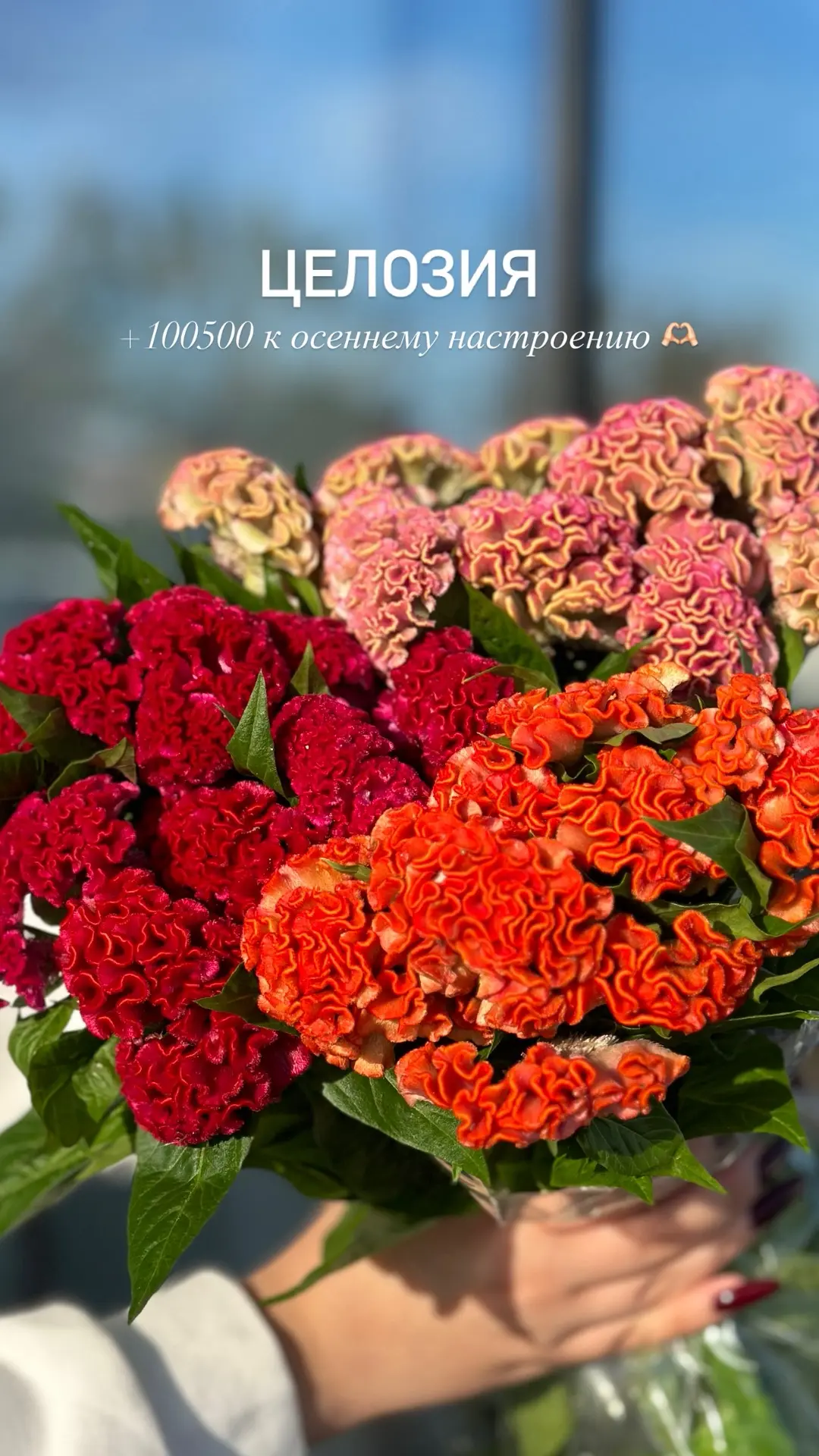 Наша свежая,яркая поставка 😍
