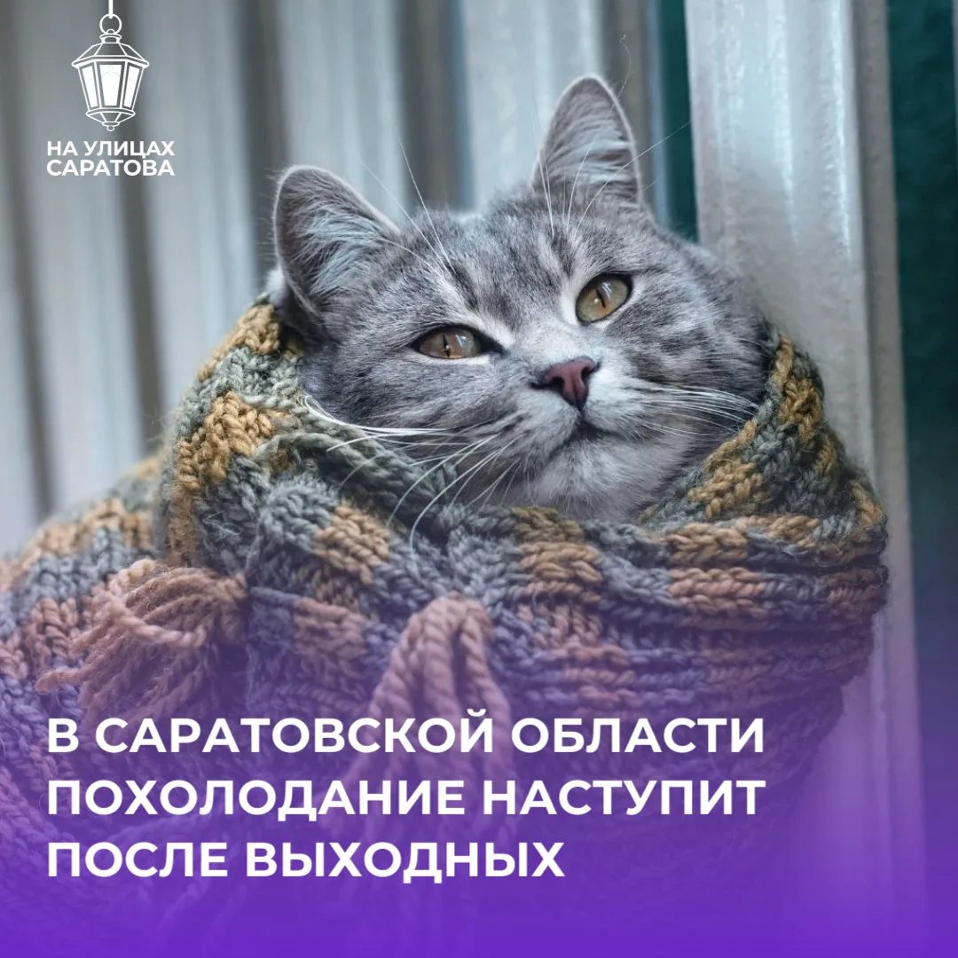 🥶ПОХОЛОДАНИЕ придет в Саратовскую область после выходных
