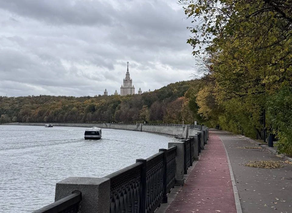 Евгений Тишковец назвал сроки завершения золотой осени в Москве