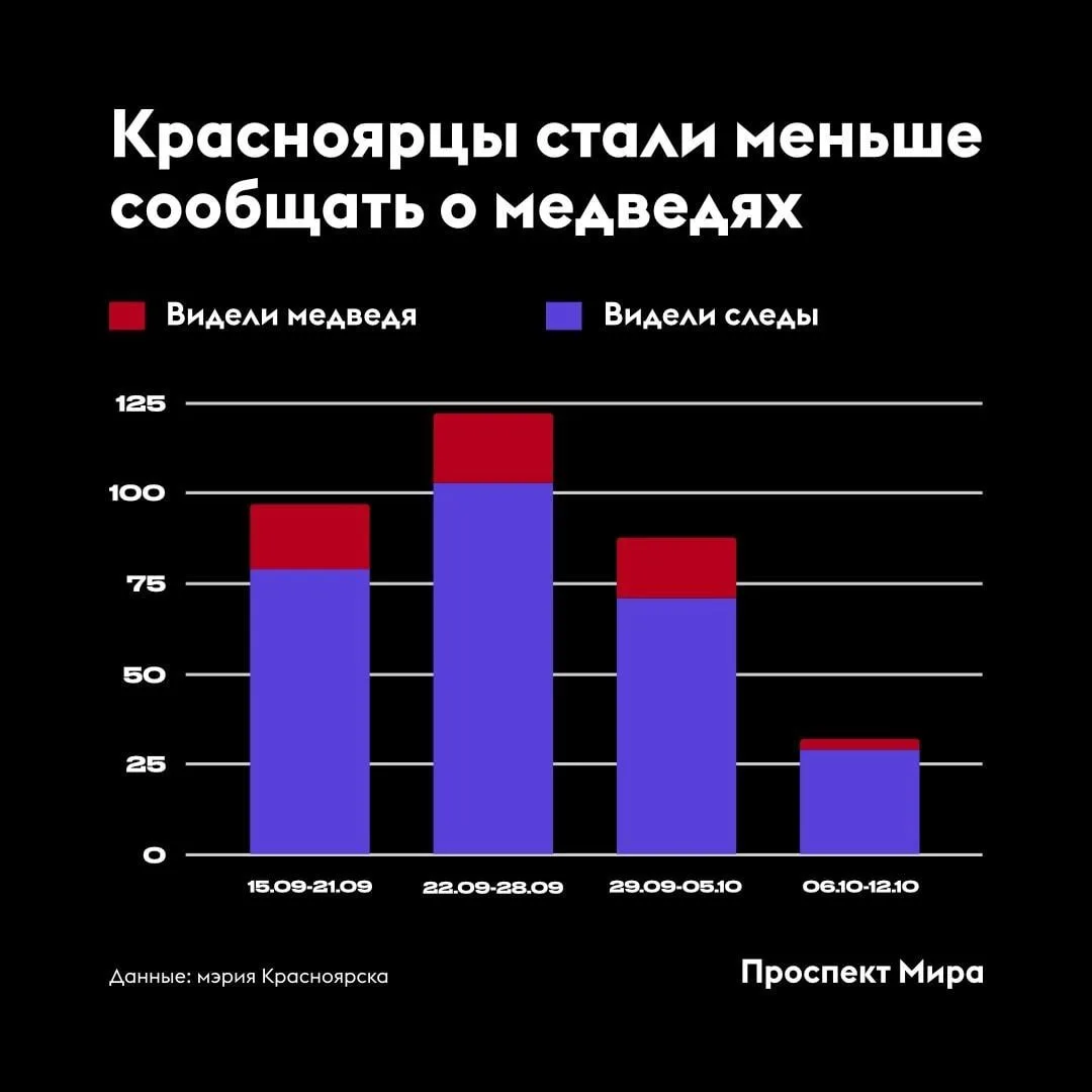 Красноярцы стали реже встречать медведей.