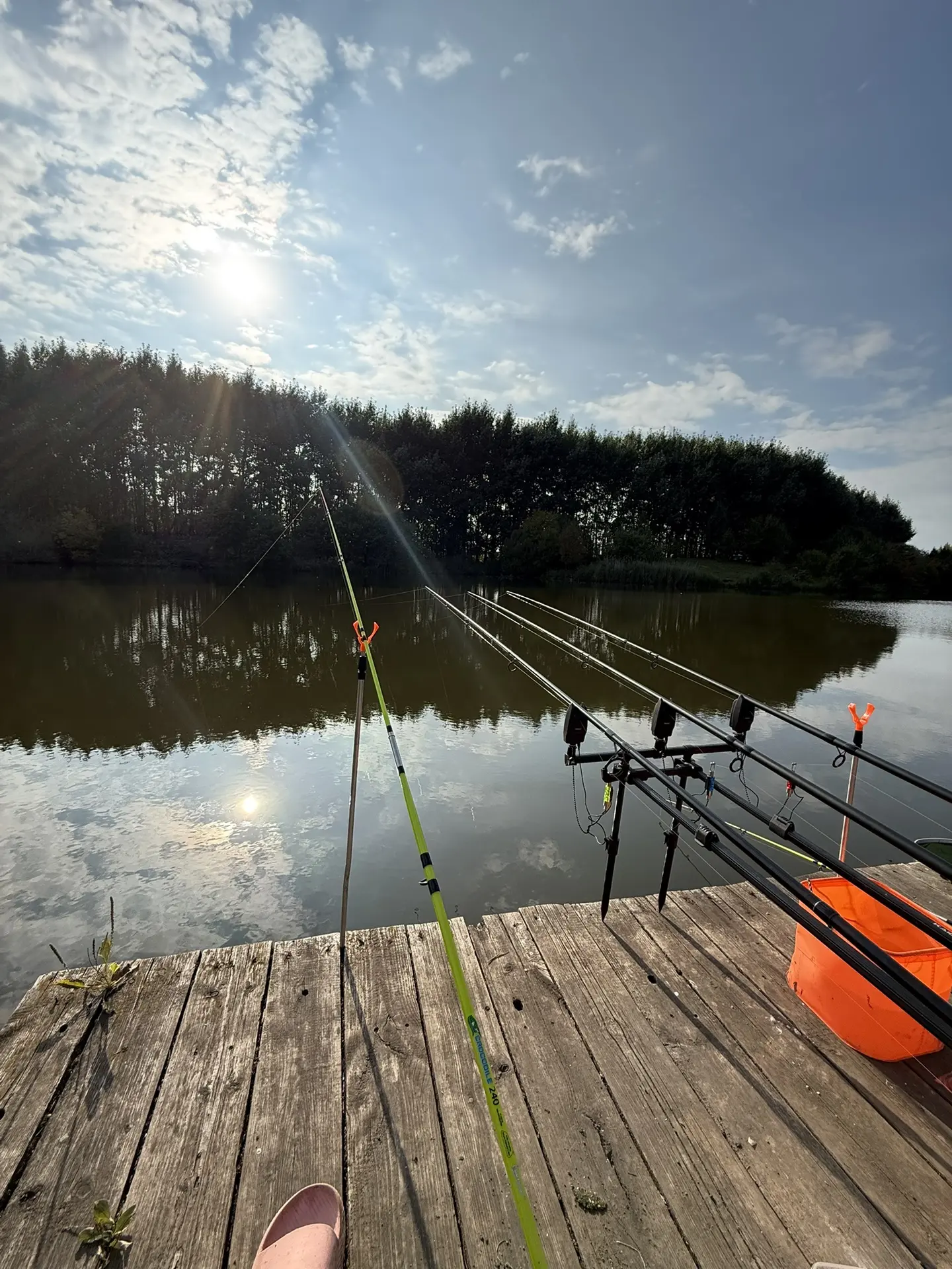 #дивный🐟🎣