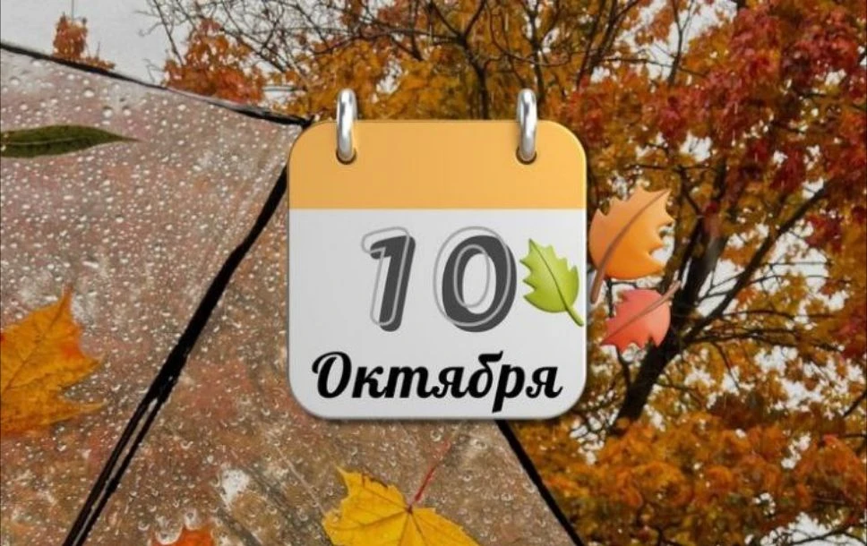 Каждый год 10 октября – самый сильный потоковый день года. А в этом году у нас еще и Чи...