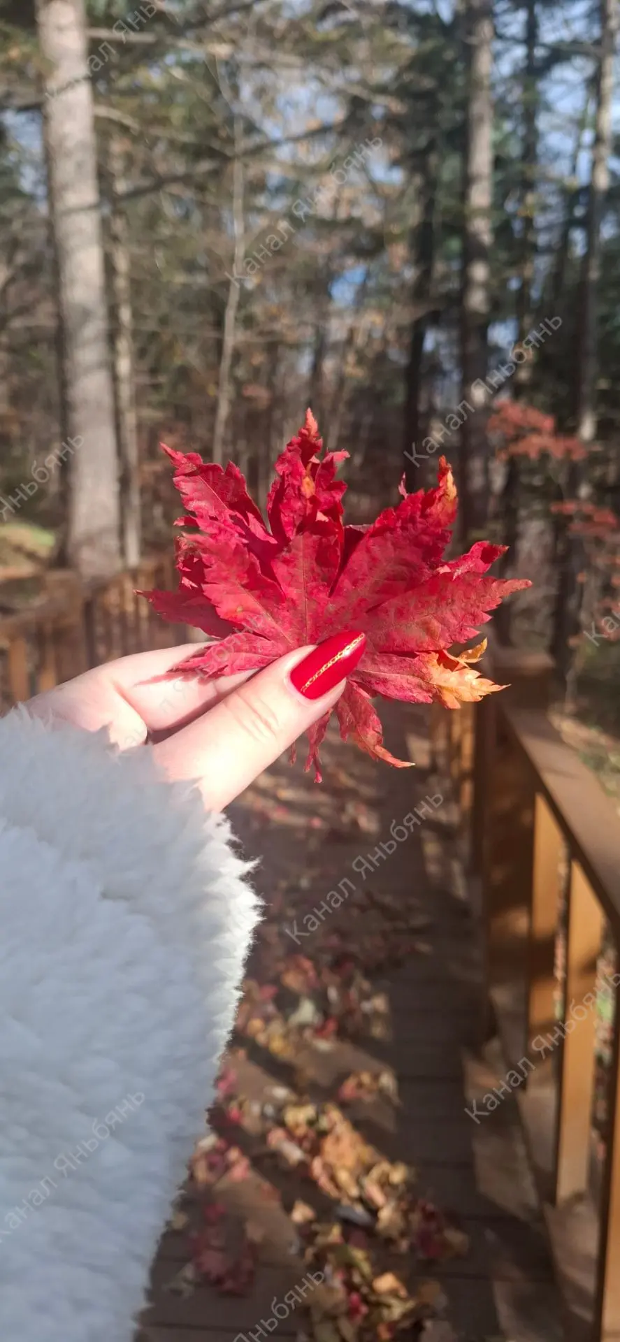 🍁Живописная зона туризма и отдыха