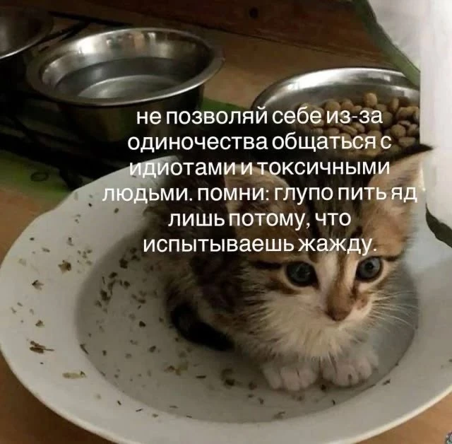 не позволяй себе из-за одиночества общаться с идиотами и токсичными людьми. помни: глуп...
