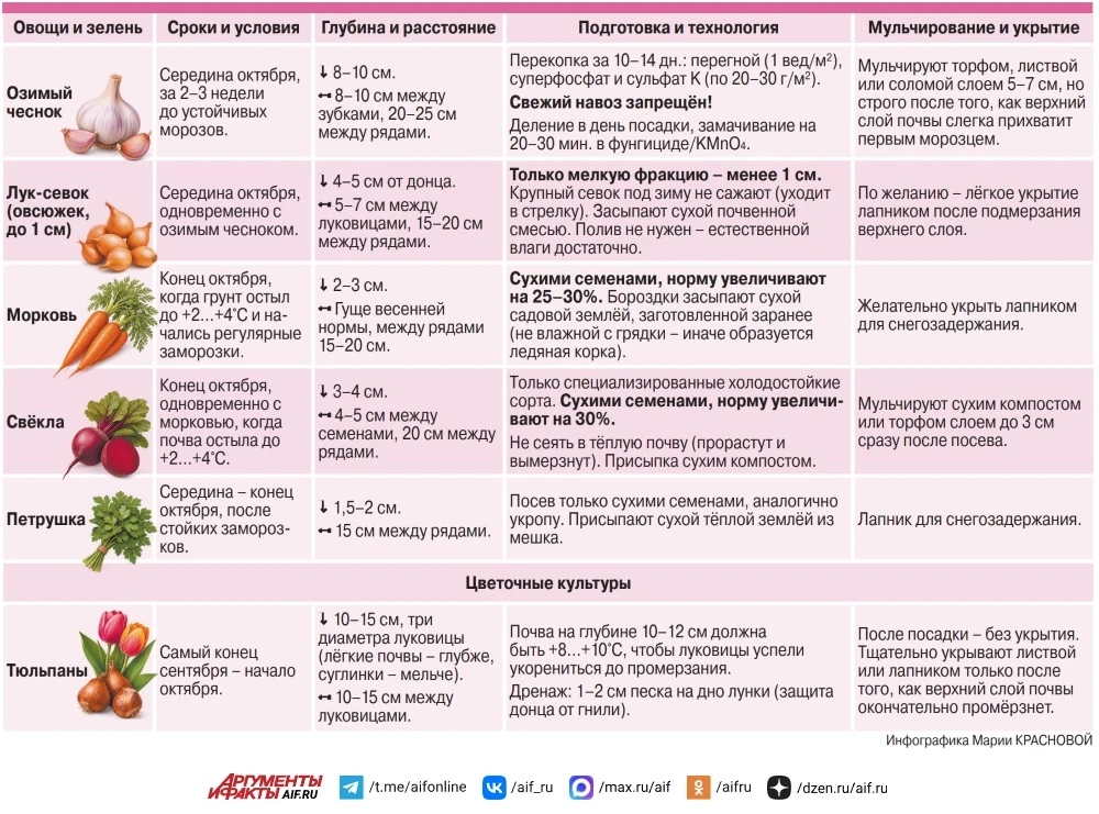 Что посадить на даче до первого снега?